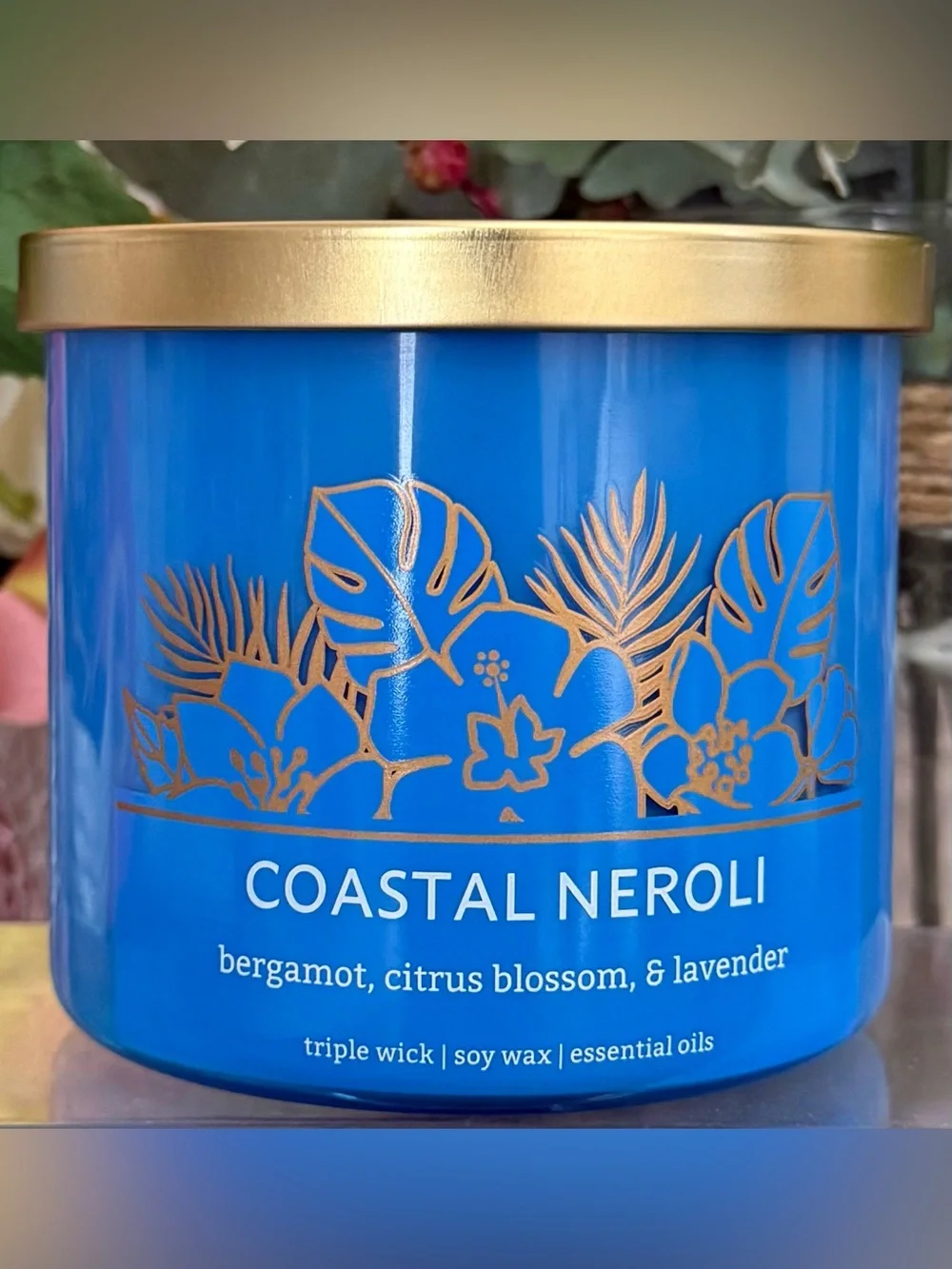 🆕🪷 DISTANT LANDS “COASTAL NEROLI” 3-WICK SCENTED SOY WAX CANDLE. BAND NEW.